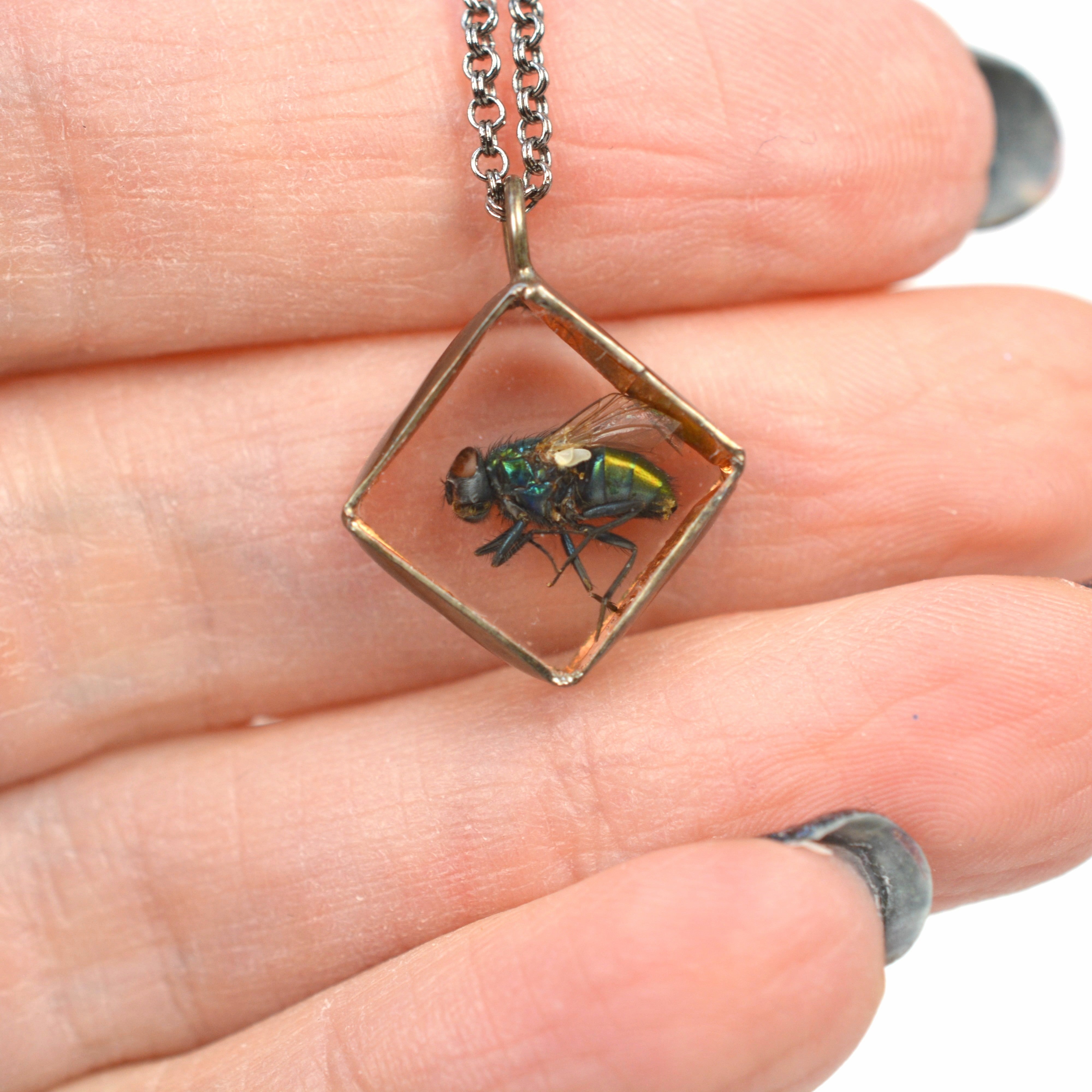 Fly Shadowbox Necklace