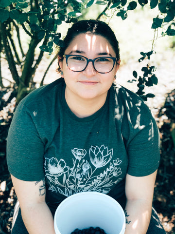 Blueberry Picking