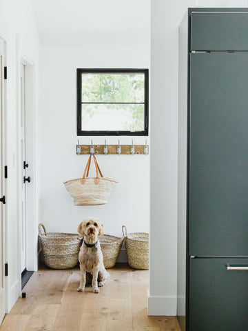 dog in entry with baskets