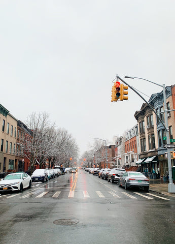 brooklyn in the snow new york