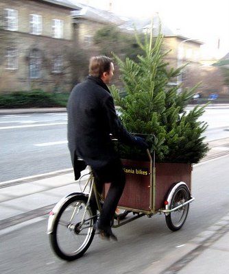 man riding bike with christmas tree