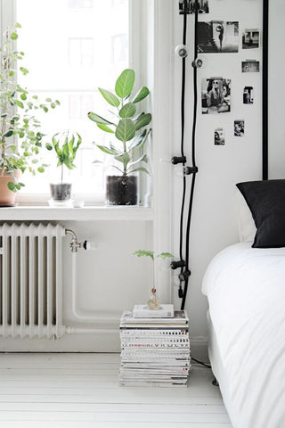 Styling With Books