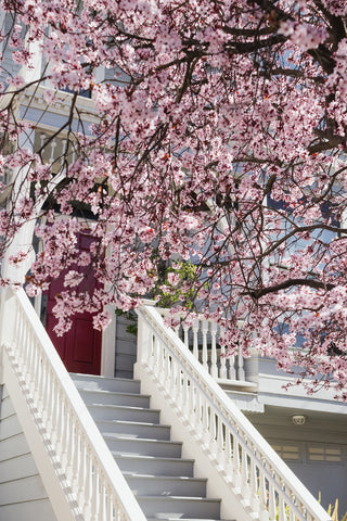 victorian with blossoms