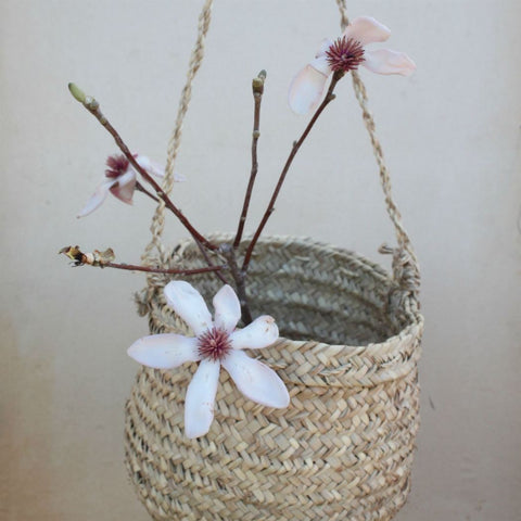 moroccan hanging basket with flowers