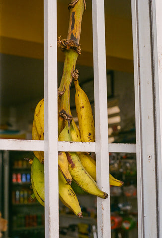 old san juan bananas bunch puerto rico