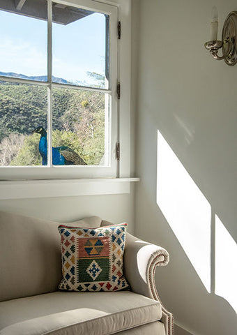 thacher house window with peacock