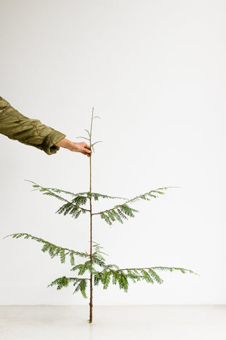 woman holding holiday christmas tree