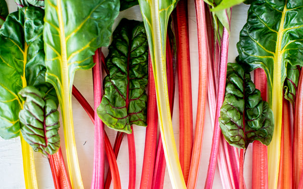 vegepod rainbow chard