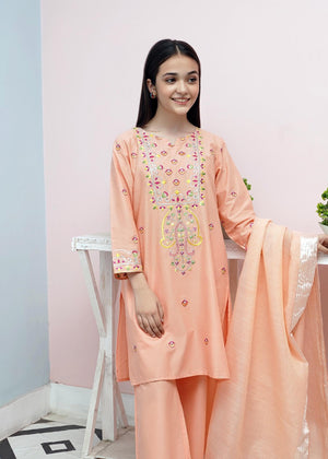 Peach pink Kurta Set for Girl