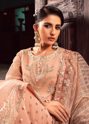 Peach pink Unstitched for Women