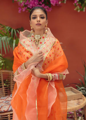Multi Gharara for Women