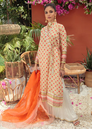 Multi Gharara for Women