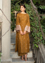Brown Kurti for Women