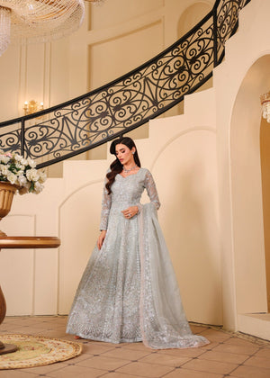 Light grey Maxi for Women