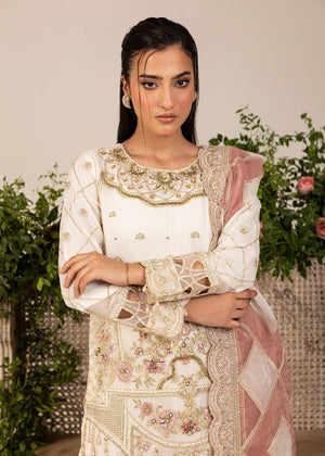 Off-white Gharara for Women