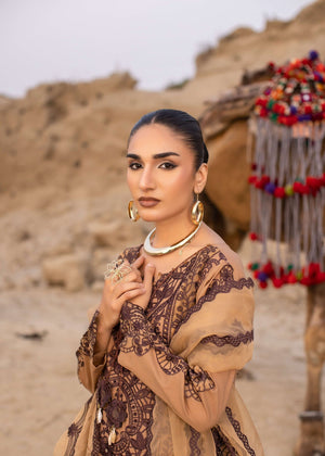 Camel brown Kurta Set for Women