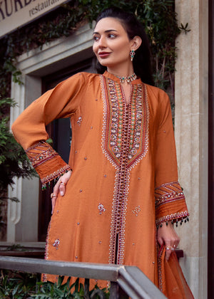 Rust orange Kurta Set for Women