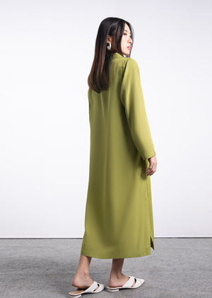 Parrot green Dress for Women