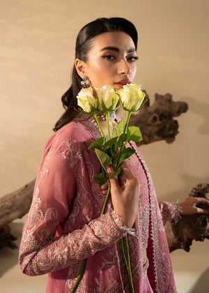 Blush pink Gown for Women