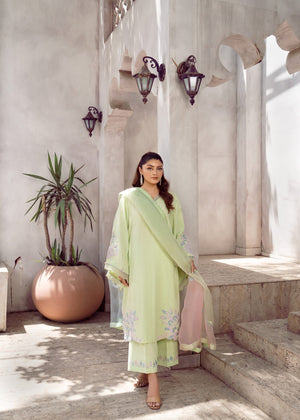 Mint green Kurta Set for Women