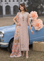 Peach Unstitched for Women