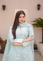 Ice blue Kurta Set for Women