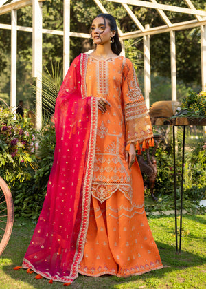 Orange Sharara for Women