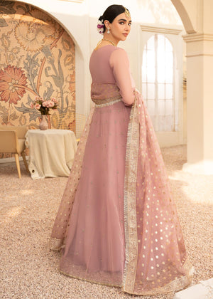 Pink Pishwas for Women