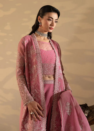 Blush pink Gown for Women