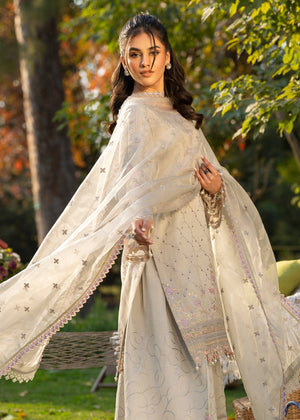 Grey Sharara for Women