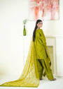 Olive green Kurta Set for Women