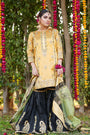 Multi Gharara for Women