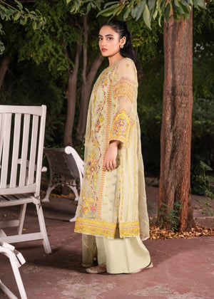 Multi Kurta Set for Women