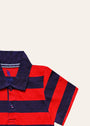 Blood red Polo Shirt for Boy