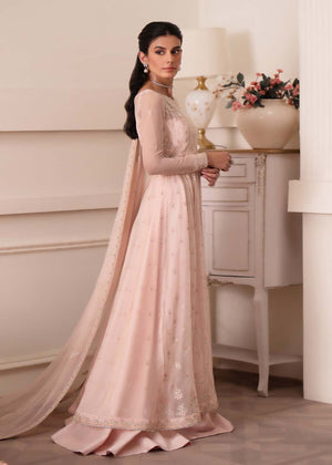 Pink Unstitched for Women