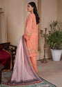 Orange Kurta Set for Women