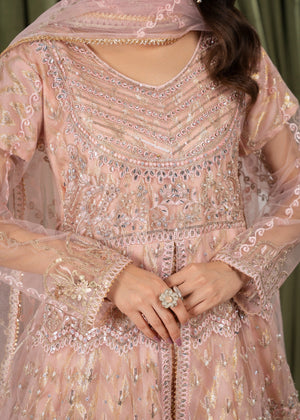 Peach orange Maxi for Women