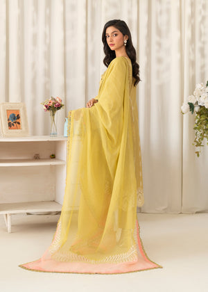 Key lime Angrakha for Women