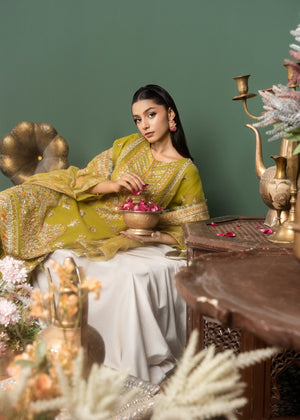 Olive green Gharara for Women