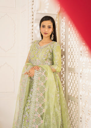 Apple green Maxi for Women