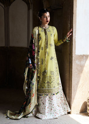 Acid yellow Unstitched for Women