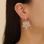 Silver Earrings for Women