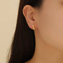 Gold Studs for Women