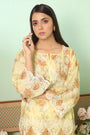 2 PIECE - PREMIUM EMBROIDERED LAWN - 8707 - Rashid Textile Printing Industries Pvt Ltd