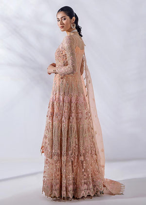 Peach pink Unstitched for Women