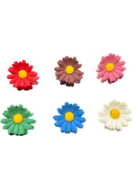 Multi Hair Clip for Women