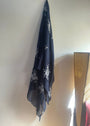 Navy blue Scarf for Women
