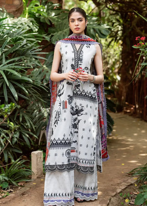 White Unstitched for Women