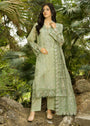 Tea green Kurta Set for Women