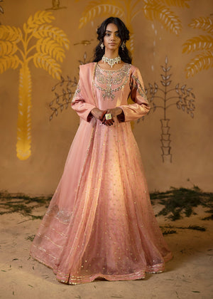Peach pink Maxi for Women